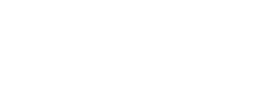 Icon App Store